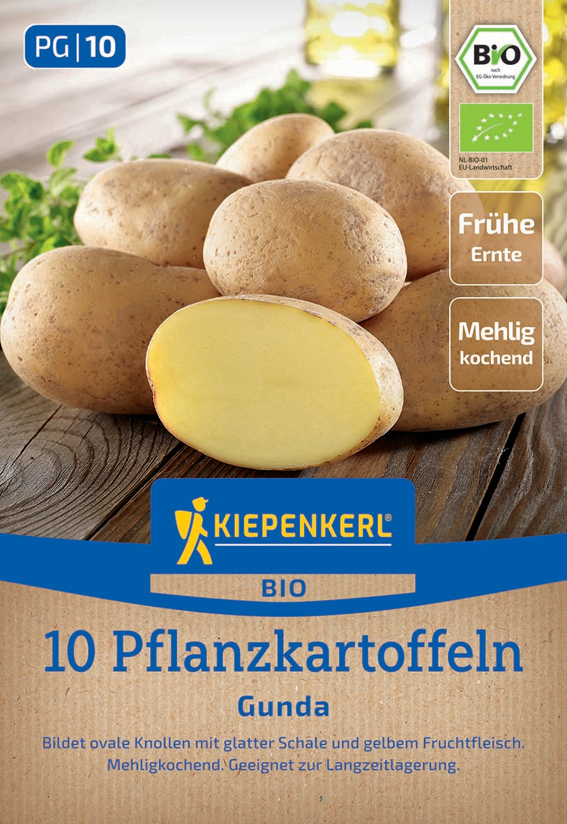 BIO Pflanzkartoffel Gunda, 10 St BIO Pflanzkartoffel Gunda, 10 St