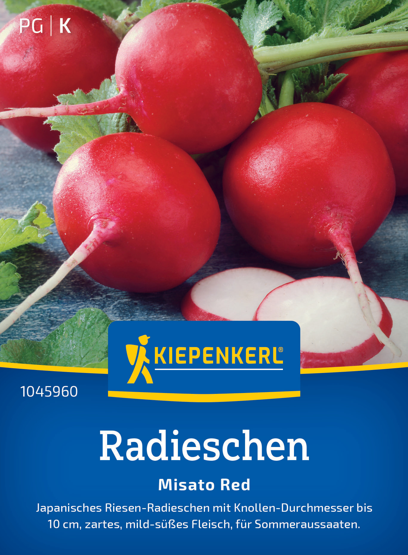 Radieschen Misato Red