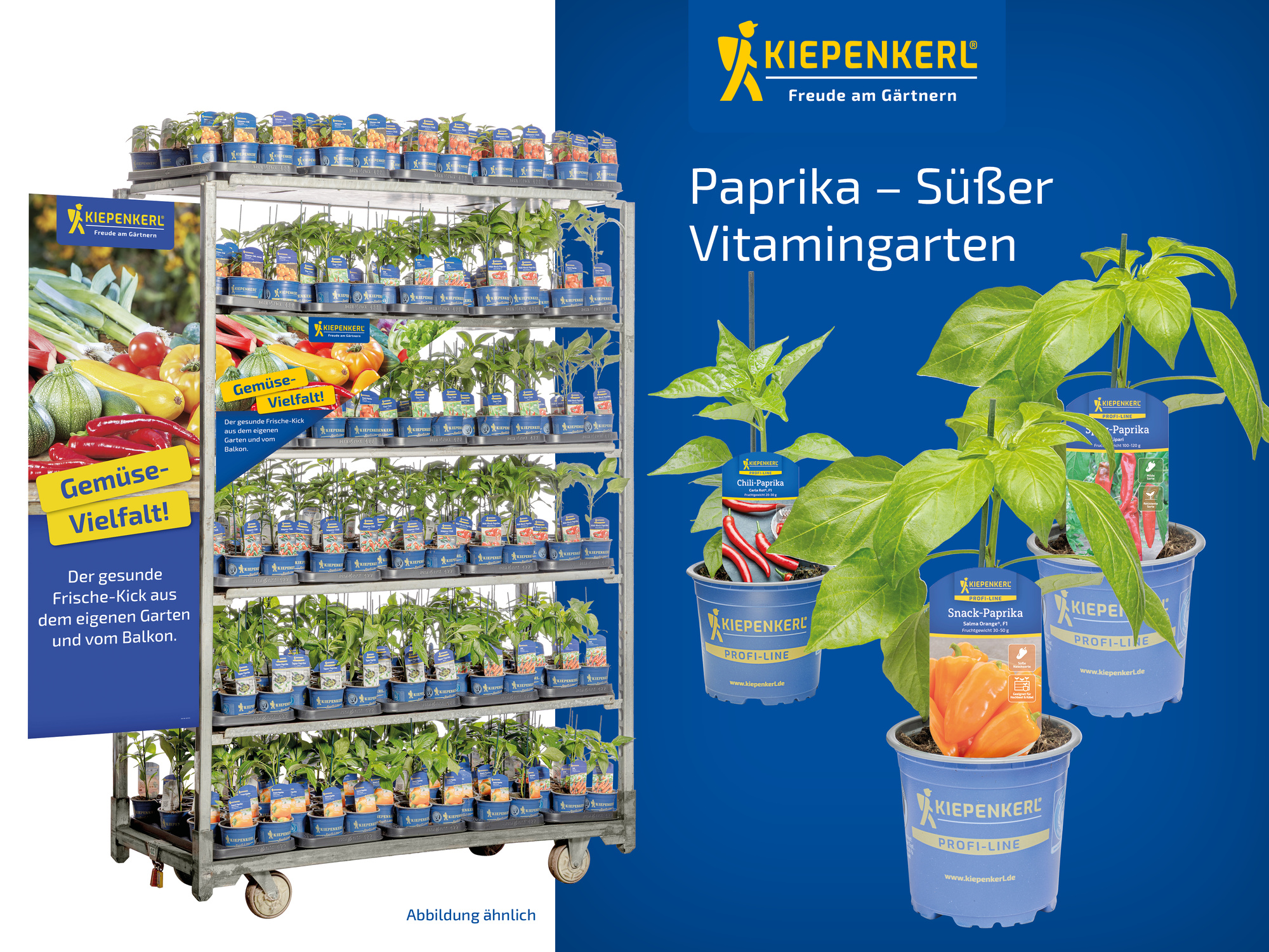 2026 - Frühjahr - ProfiLine Pflanzen - Paprika - Süßer Vitamingarten