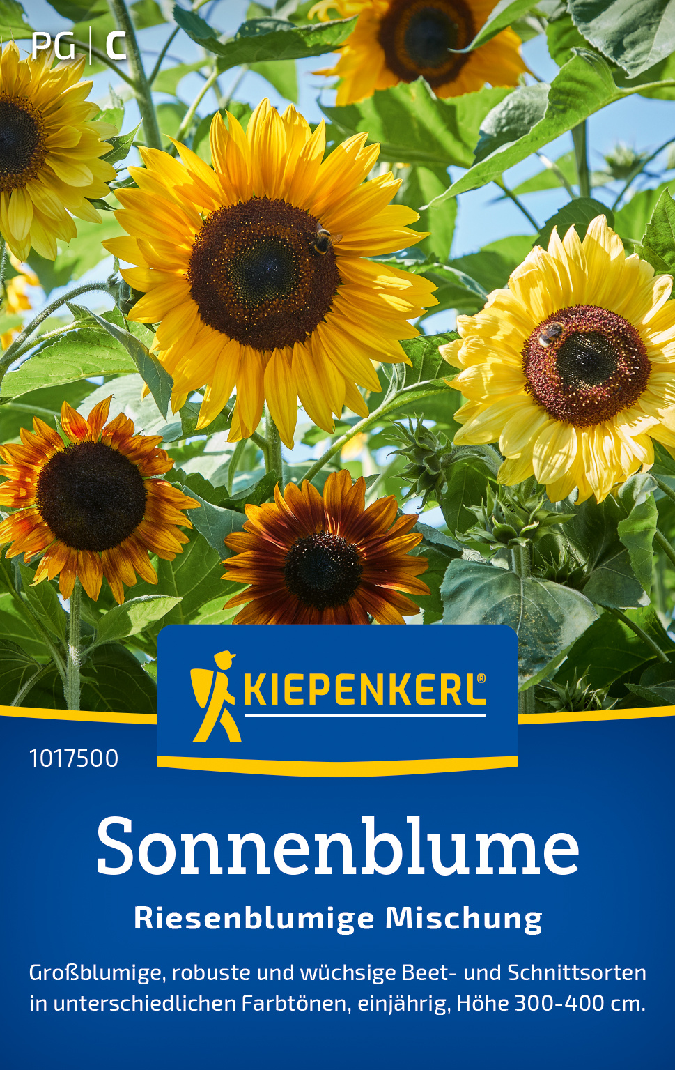 Sonnenblume Riesenblumige Mischung Sonnenblume Riesenblumige Mischung