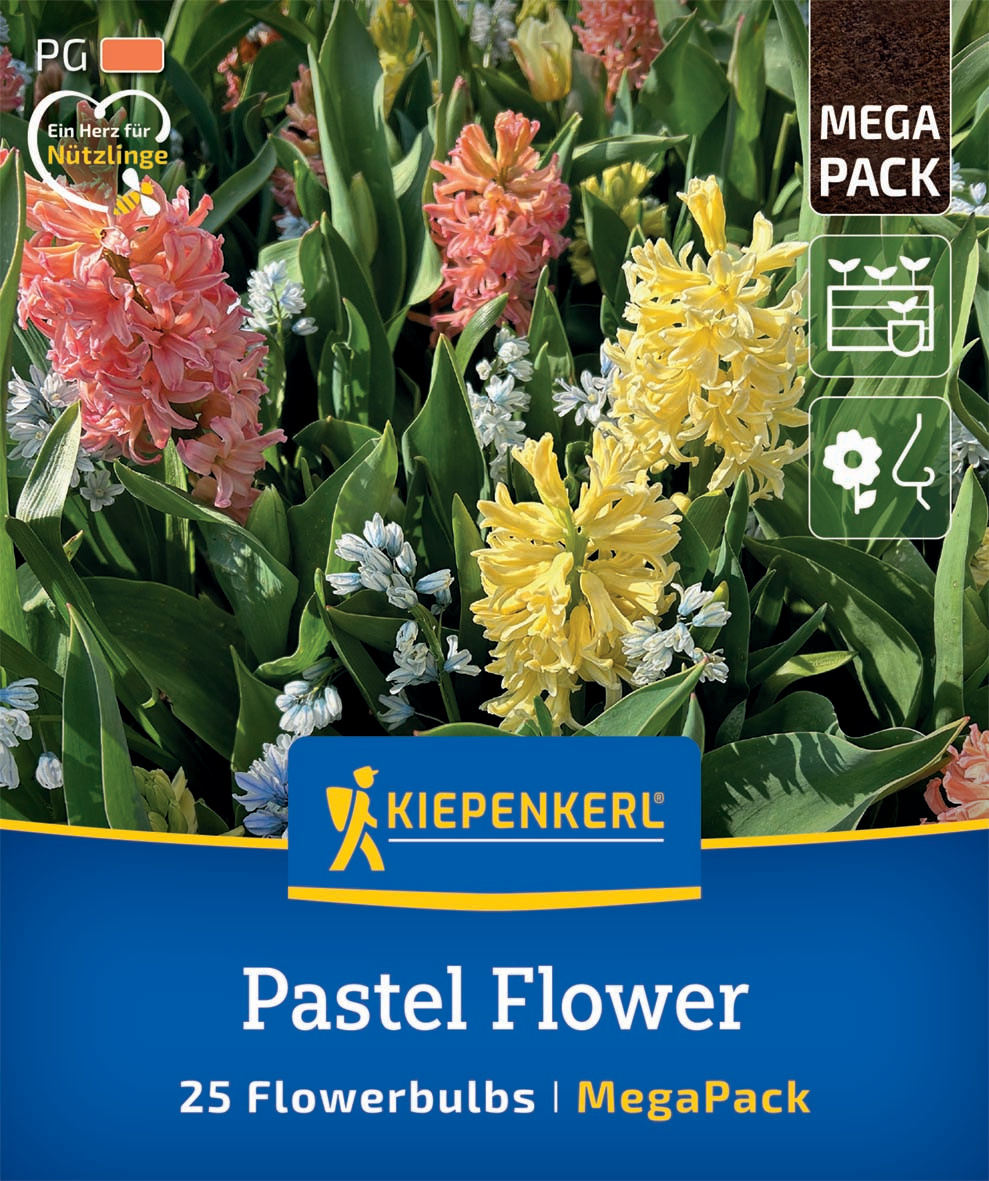 Mega Pack Pastel Flower