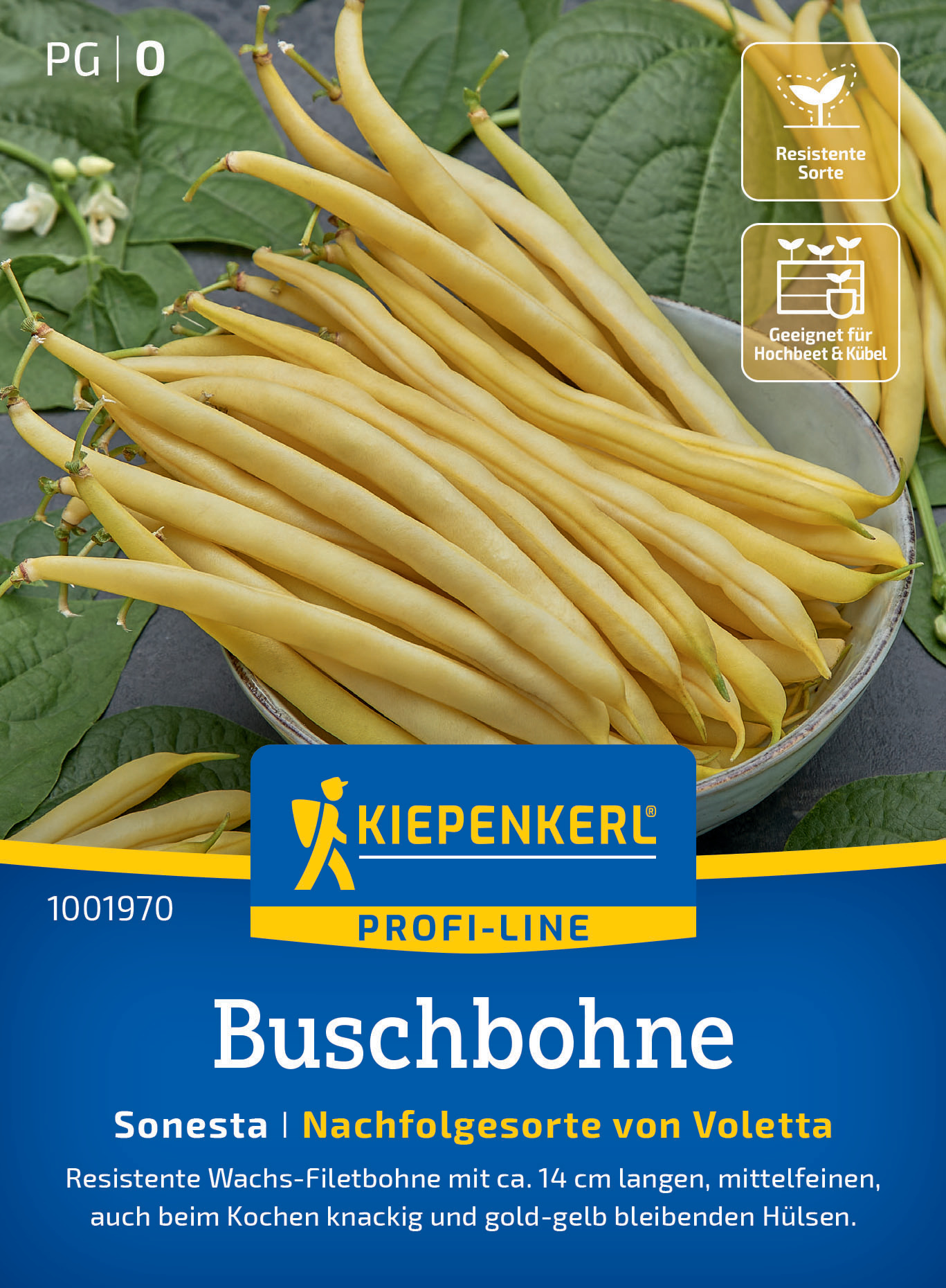Buschbohne Sonesta