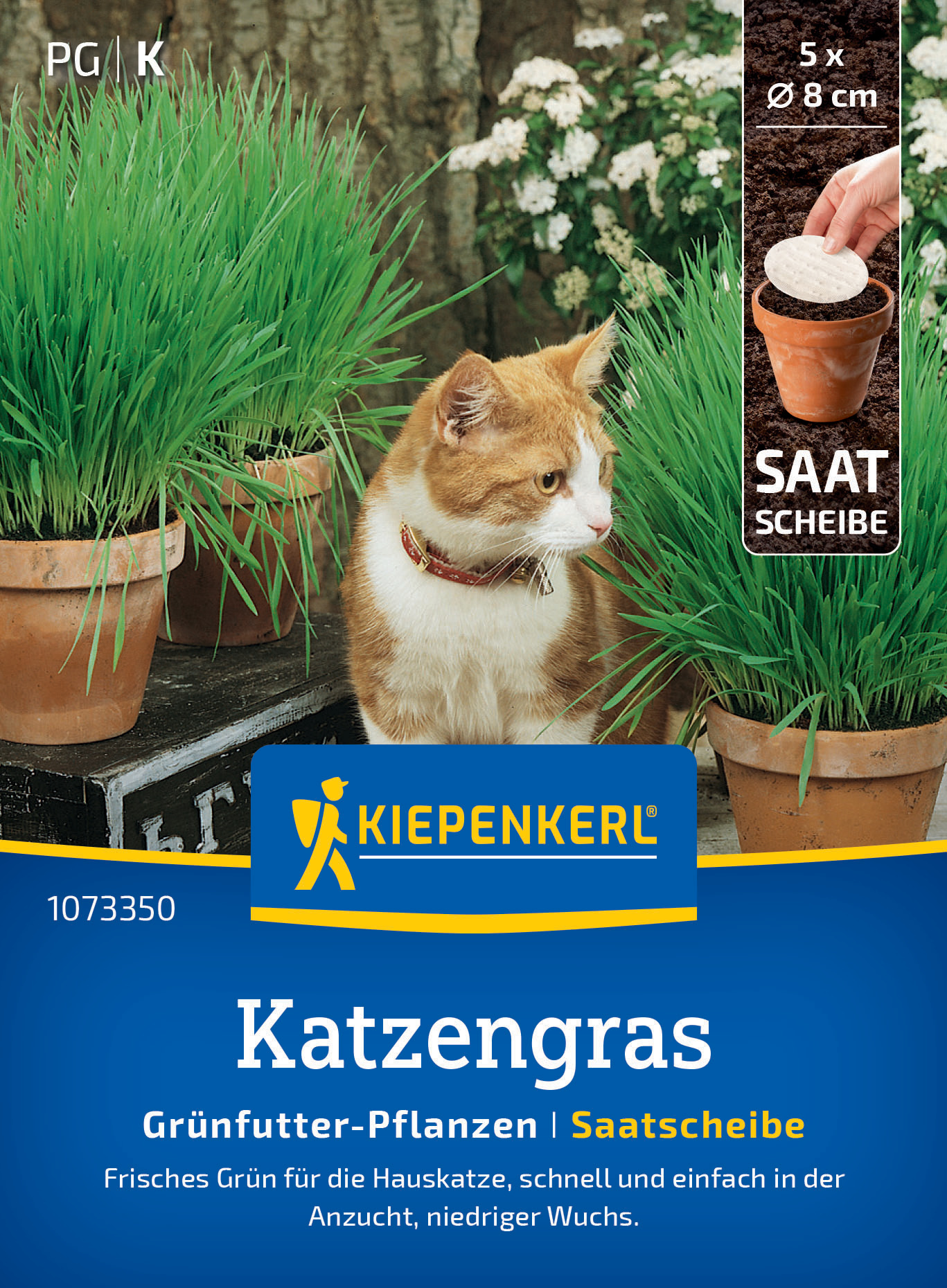 Katzengras Frischgrün Mischung, Saatscheibe Katzengras Frischgrün Mischung, Saatscheibe