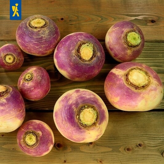 Herbstrübe 0,5 kg Herbstrübe 0,5 kg