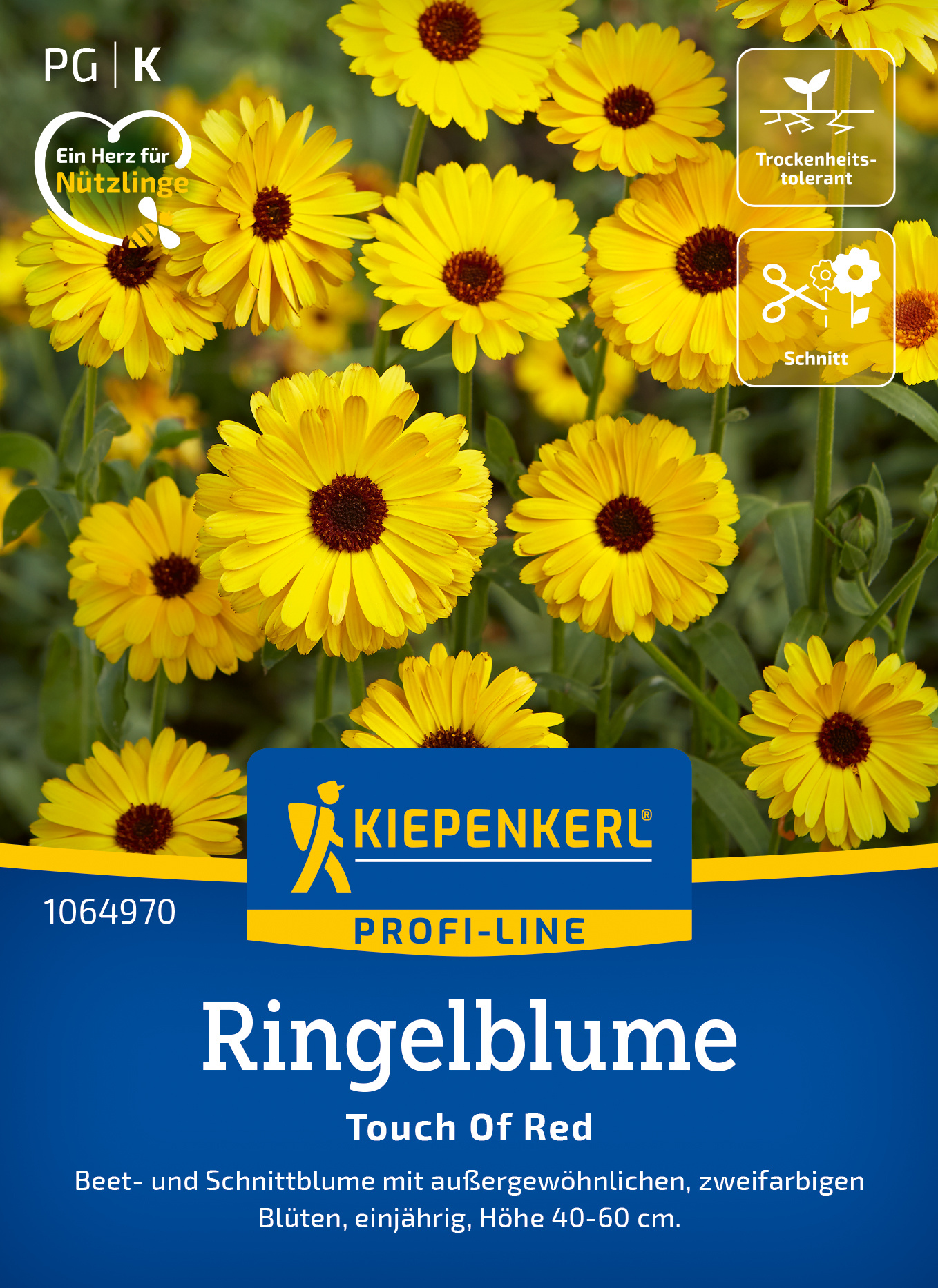Ringelblume Touch Of Red