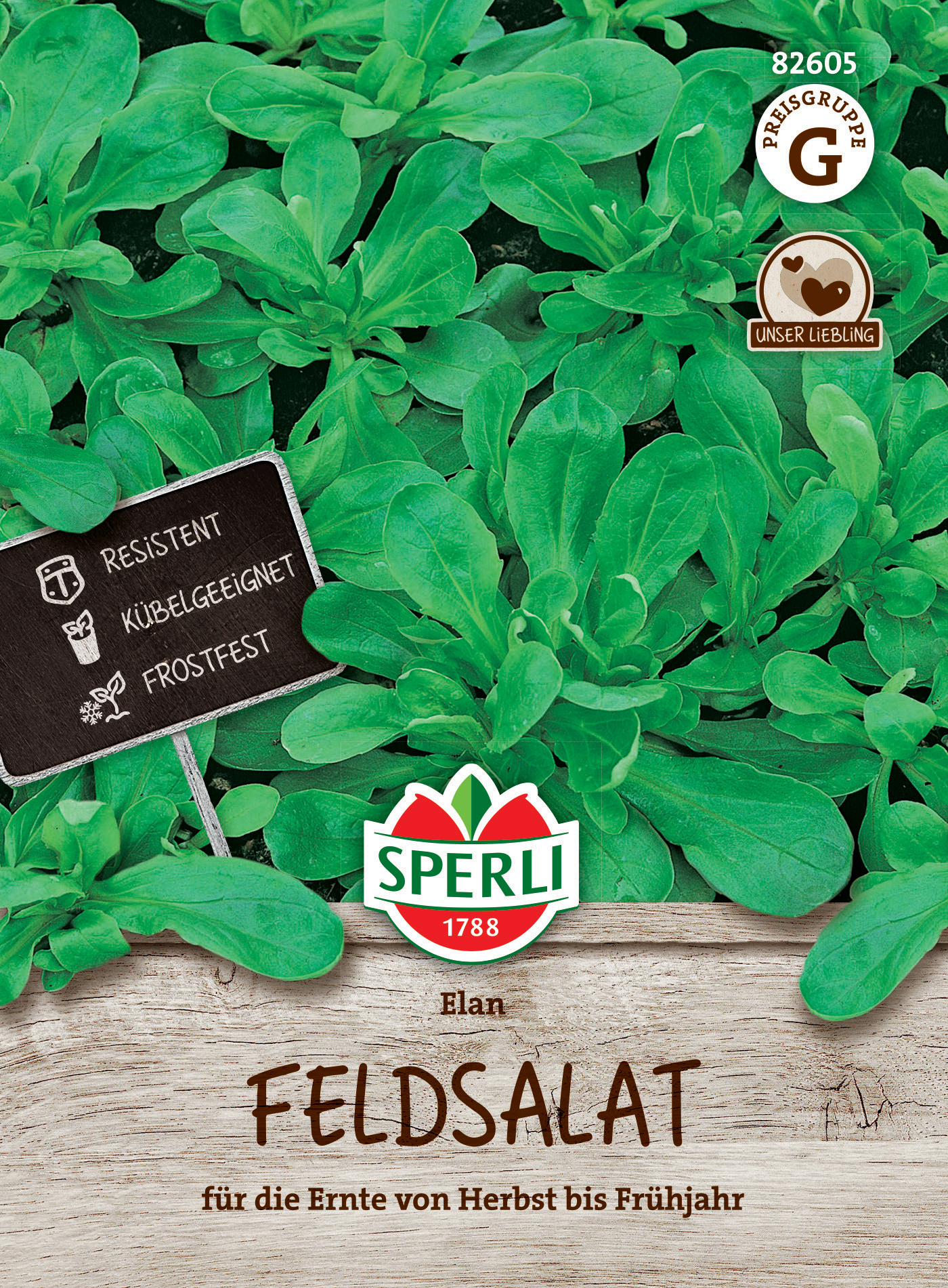 Feldsalat Elan Feldsalat Elan