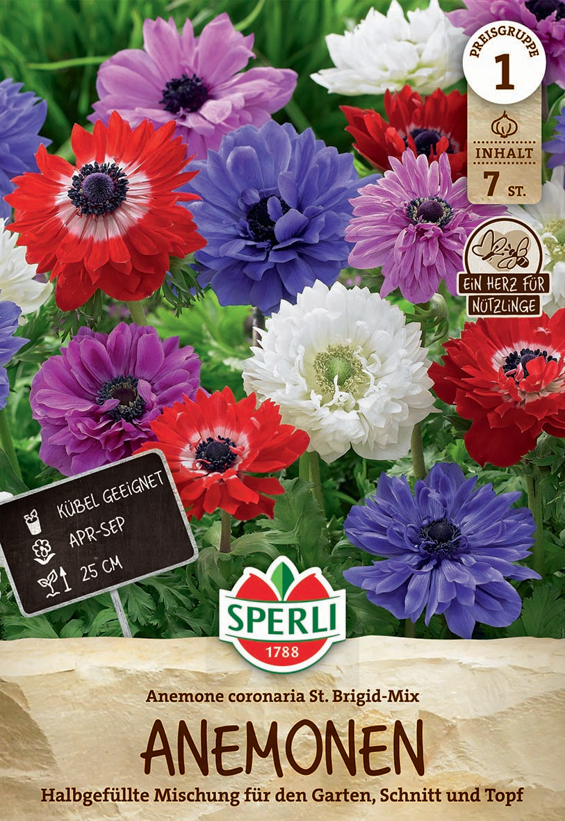 Anemone St. Brigid Mix Anemone St. Brigid Mix