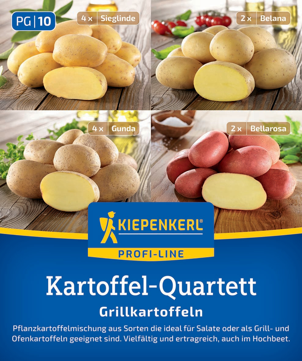 Pflanzkartoffel Quartett Mischungstüte Grillkartoffeln, 12 St Pflanzkartoffel Quartett Mischungstüte Grillkartoffeln, 12 St