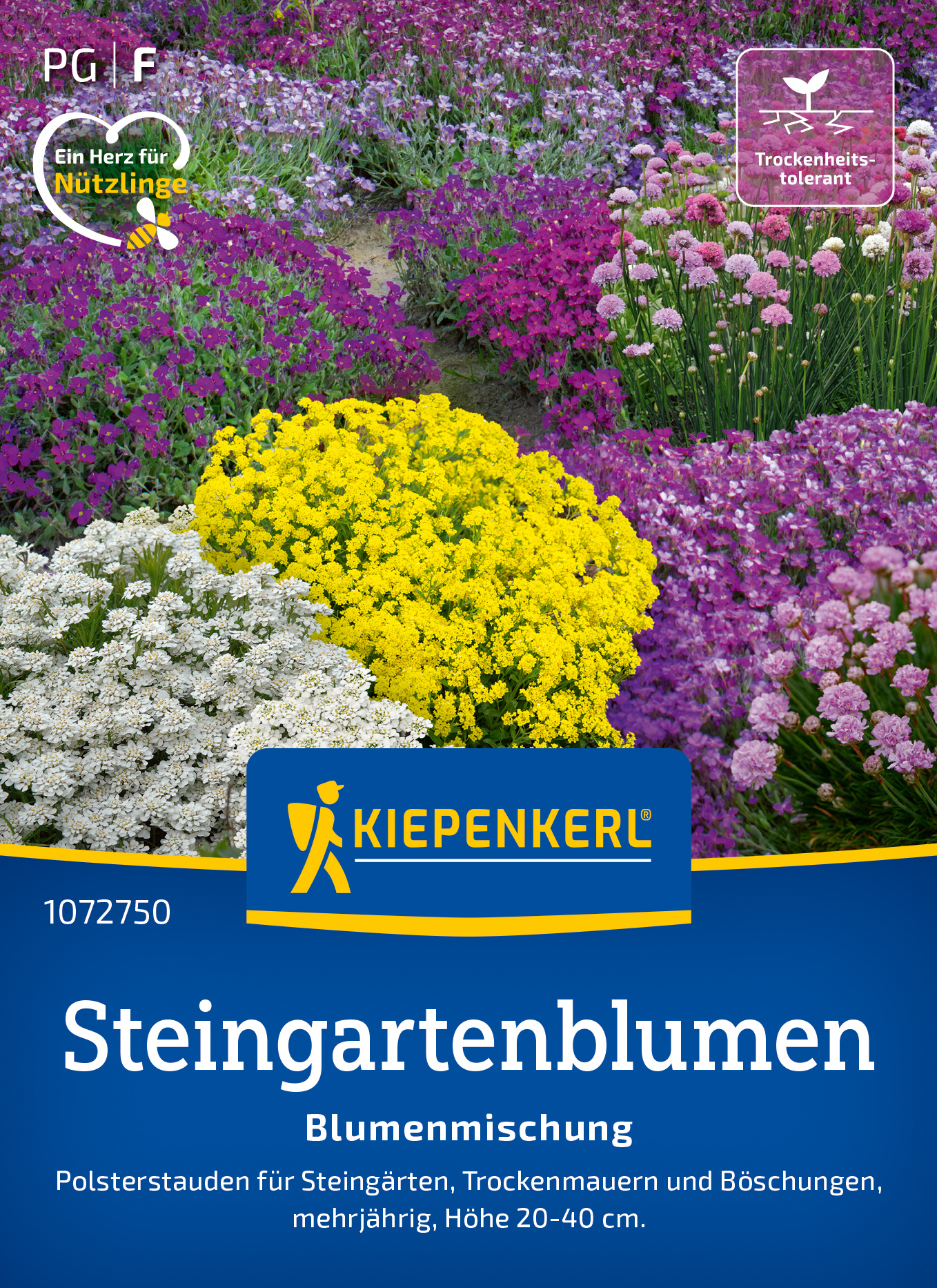 Blumenmischung Steingartenblumen