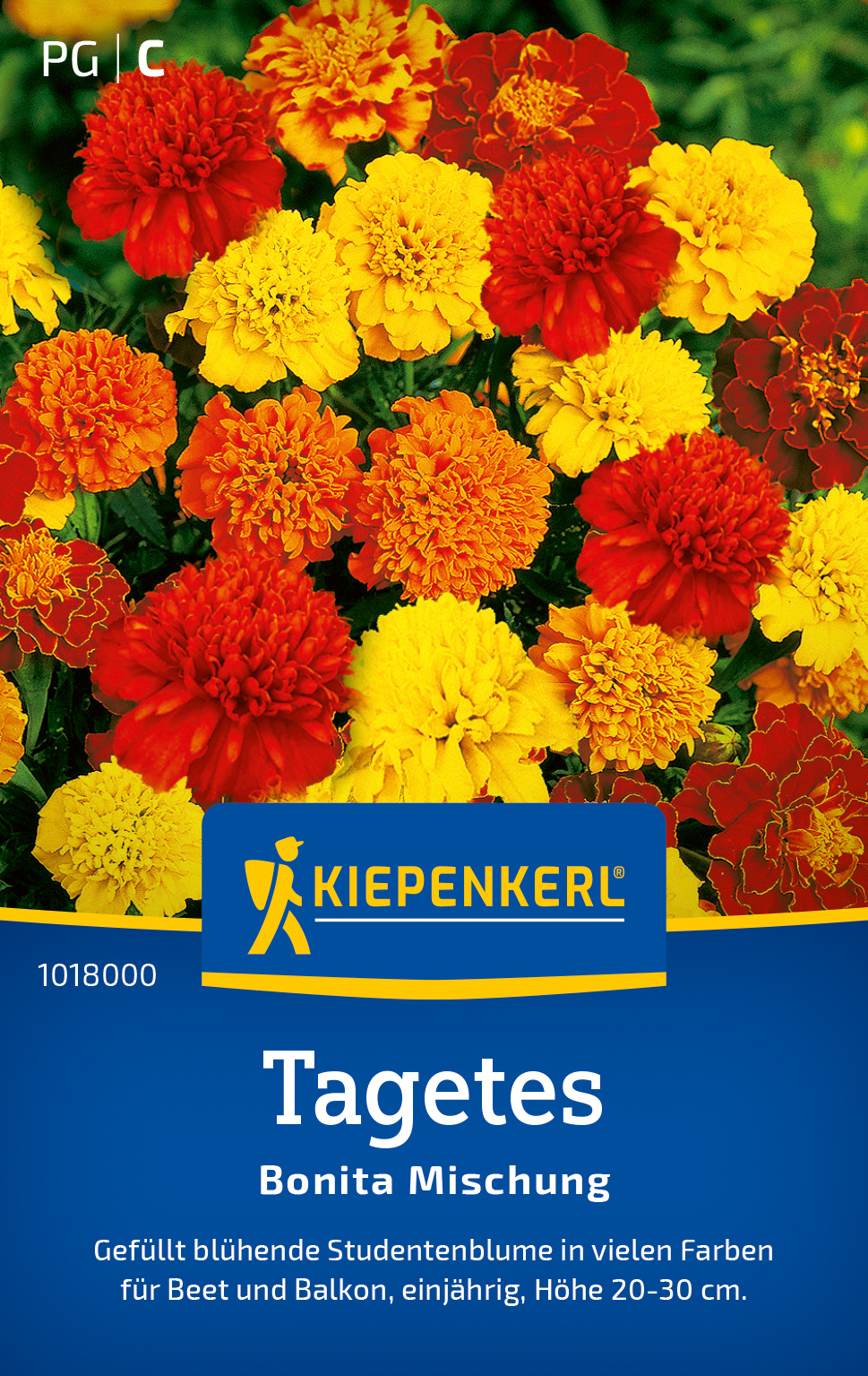 Tagetes Bonita Mischung Tagetes Bonita Mischung