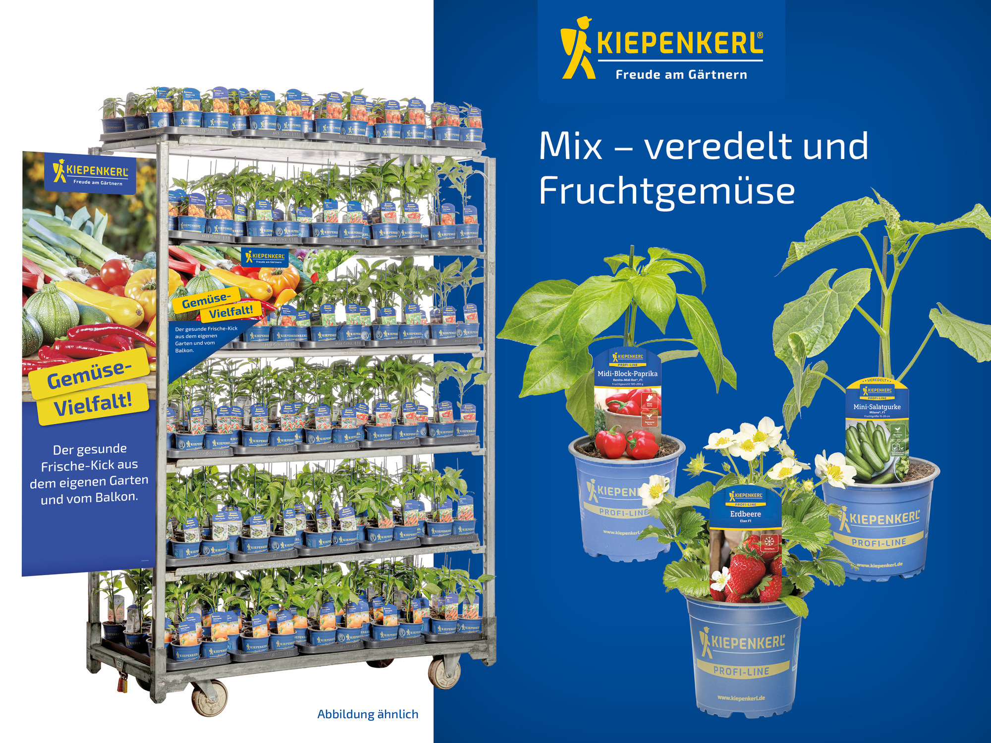 2026 - Frühjahr - ProfiLine Pflanzen - Mix veredelt und Fruchtgemüse