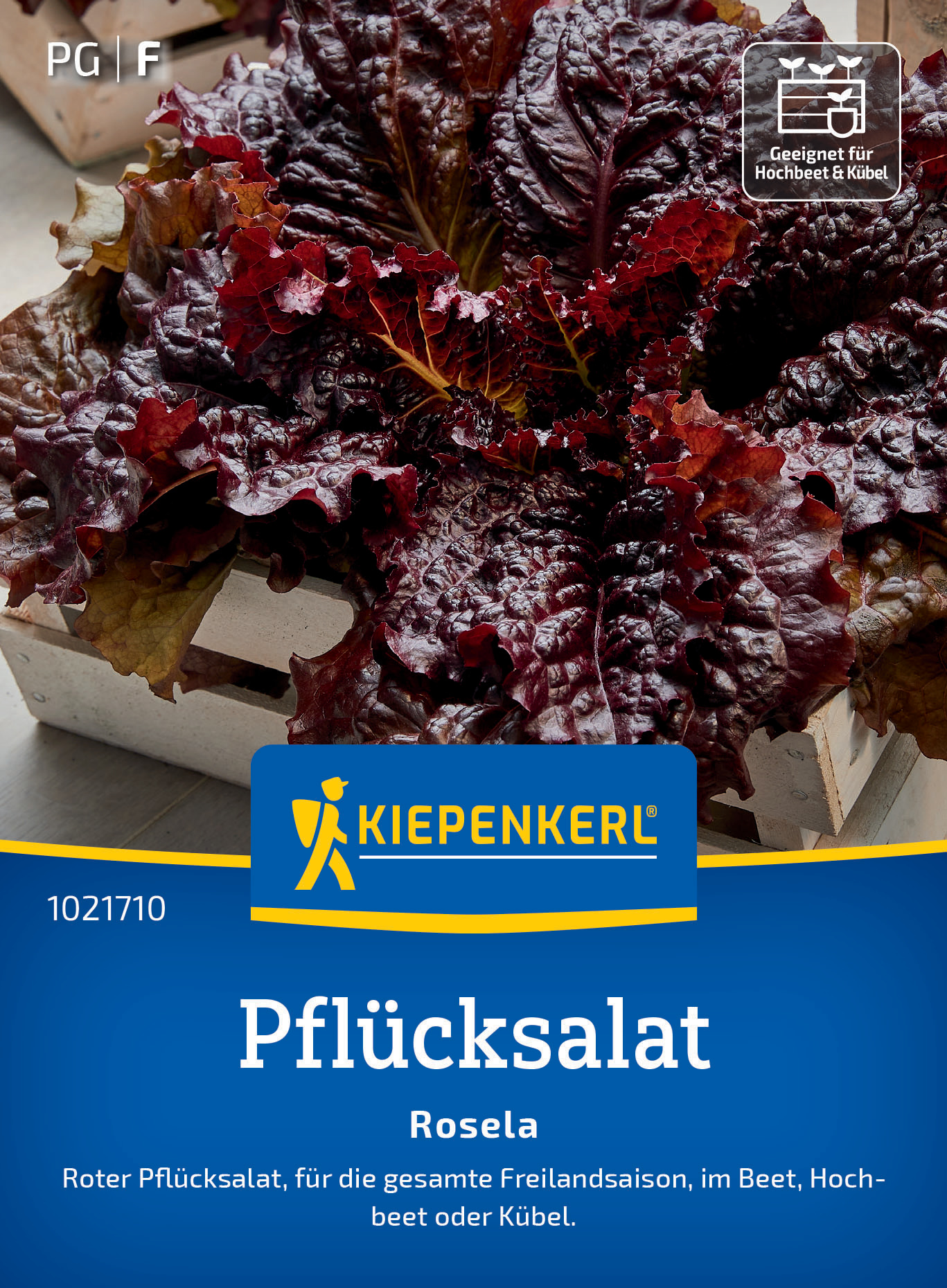Pflücksalat Rosela