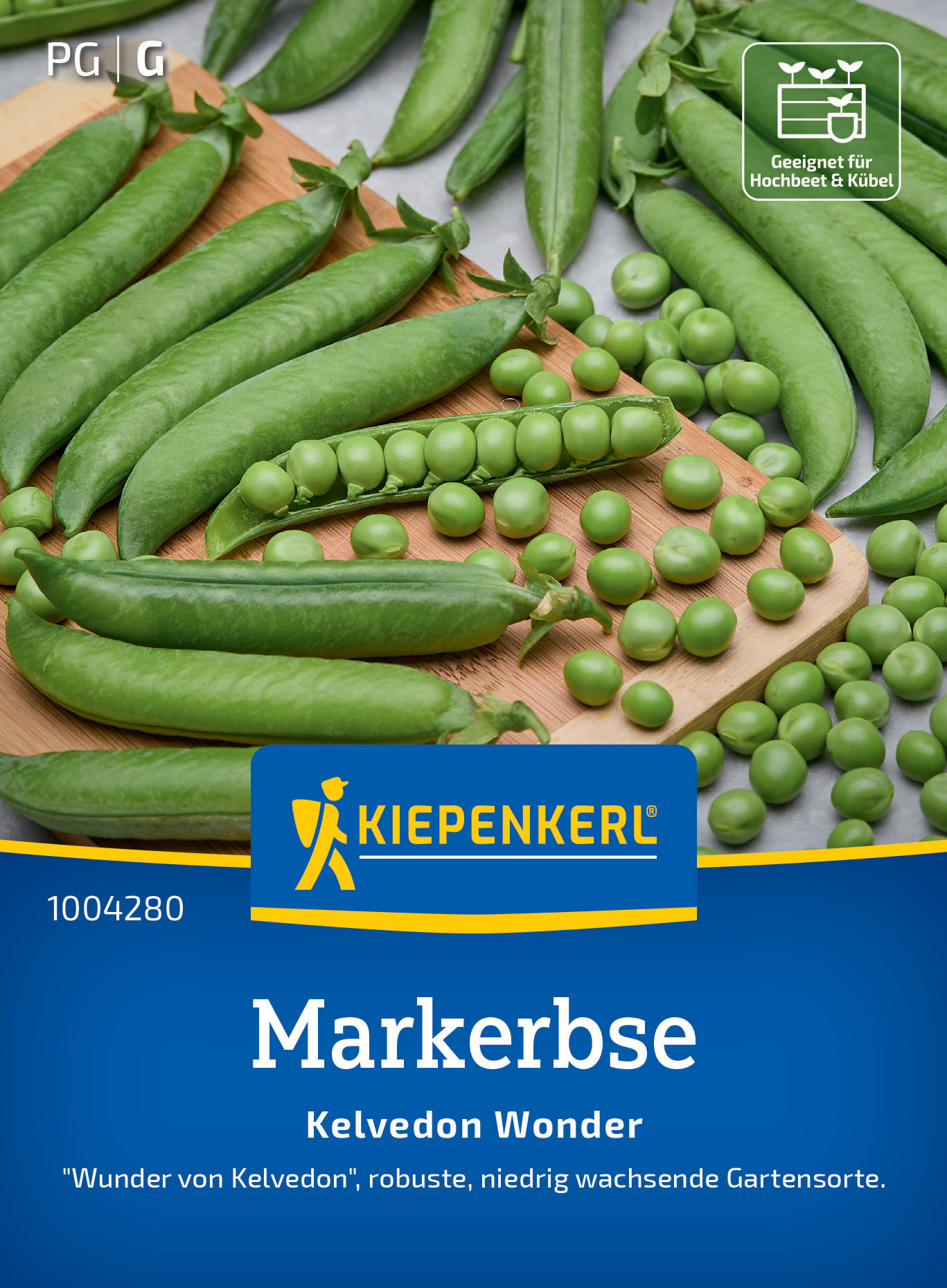 Markerbse Kelvedon Wonder