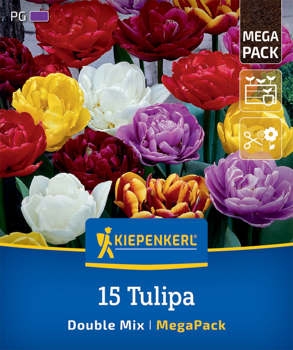 Mega-Pack Gefüllte Tulpen Mischung