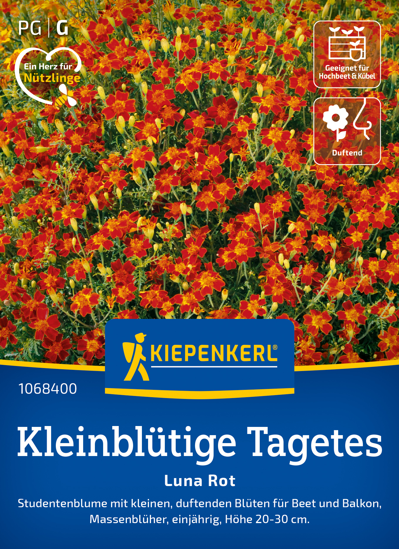 Kleinblütige Tagetes Luna Rot