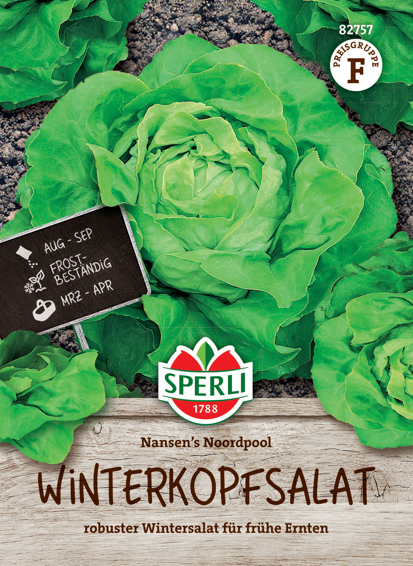 Winterkopfsalat Nansen's Noordpool Winterkopfsalat Nansen's Noordpool