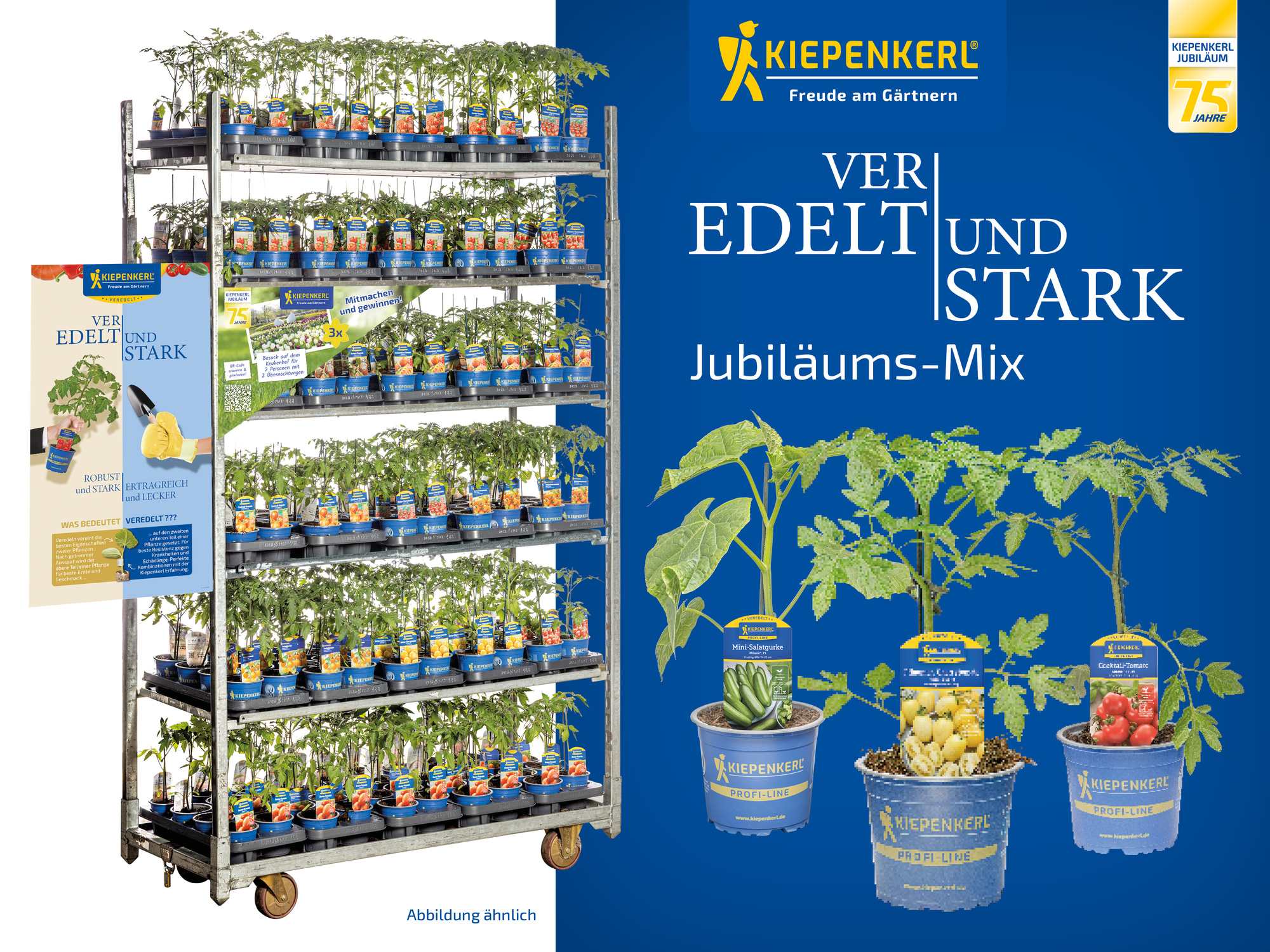 2026 - Frühjahr - ProfiLine Pflanzen - Veredelt & Stark - Jubiläums Mix