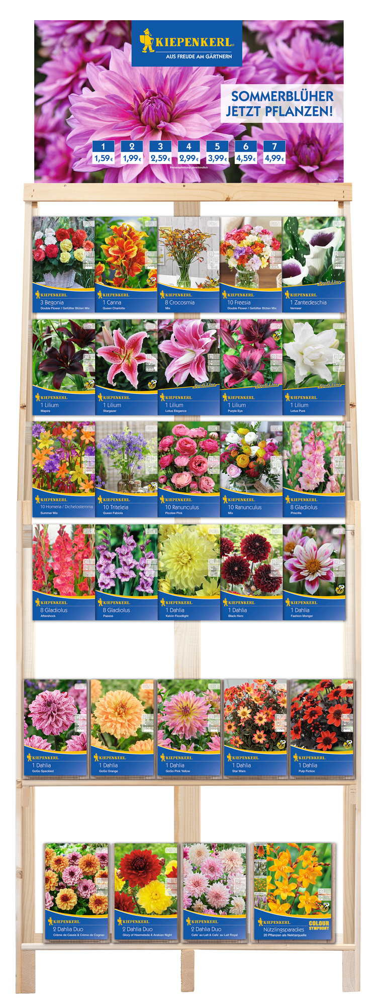 2026 - Frühjahr - Kiepenkerl-Blumenzwiebeln 'Neuheiten & Topseller' in 2 Kombiregalen