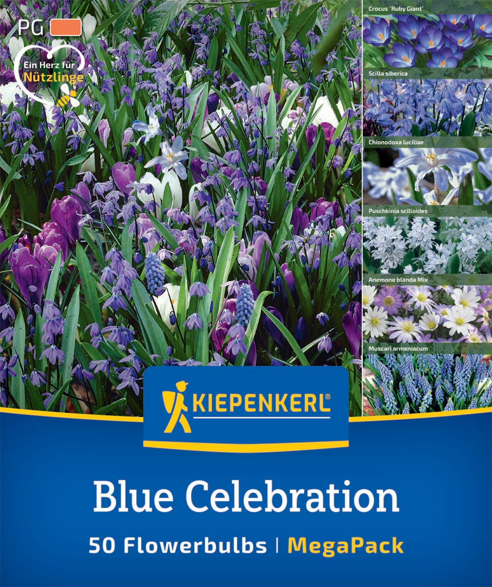 Mega Pack Blue Celebration