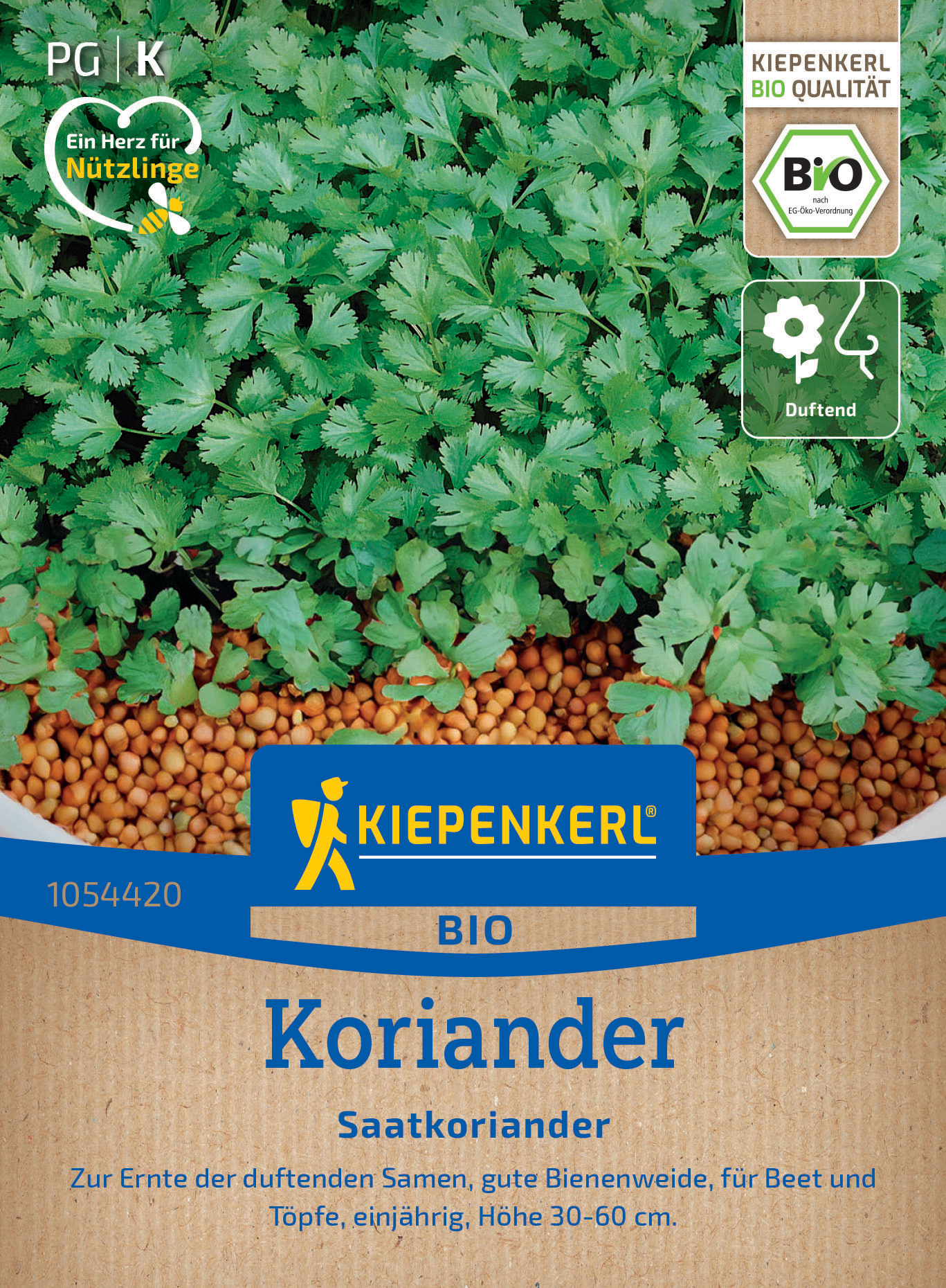 BIO Koriander Saatkoriander BIO Koriander Saatkoriander