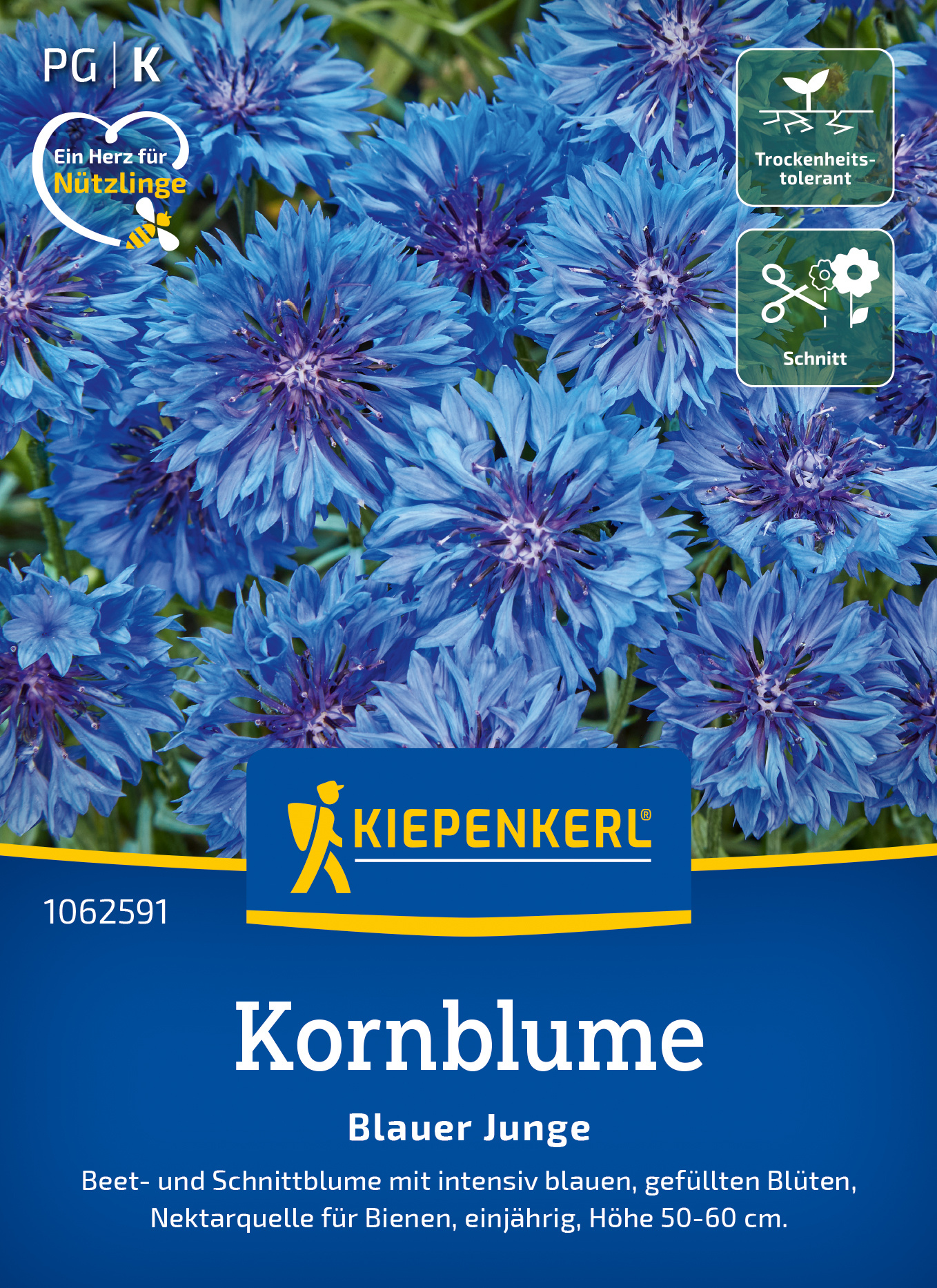 Kornblume Blauer Junge Kornblume Blauer Junge