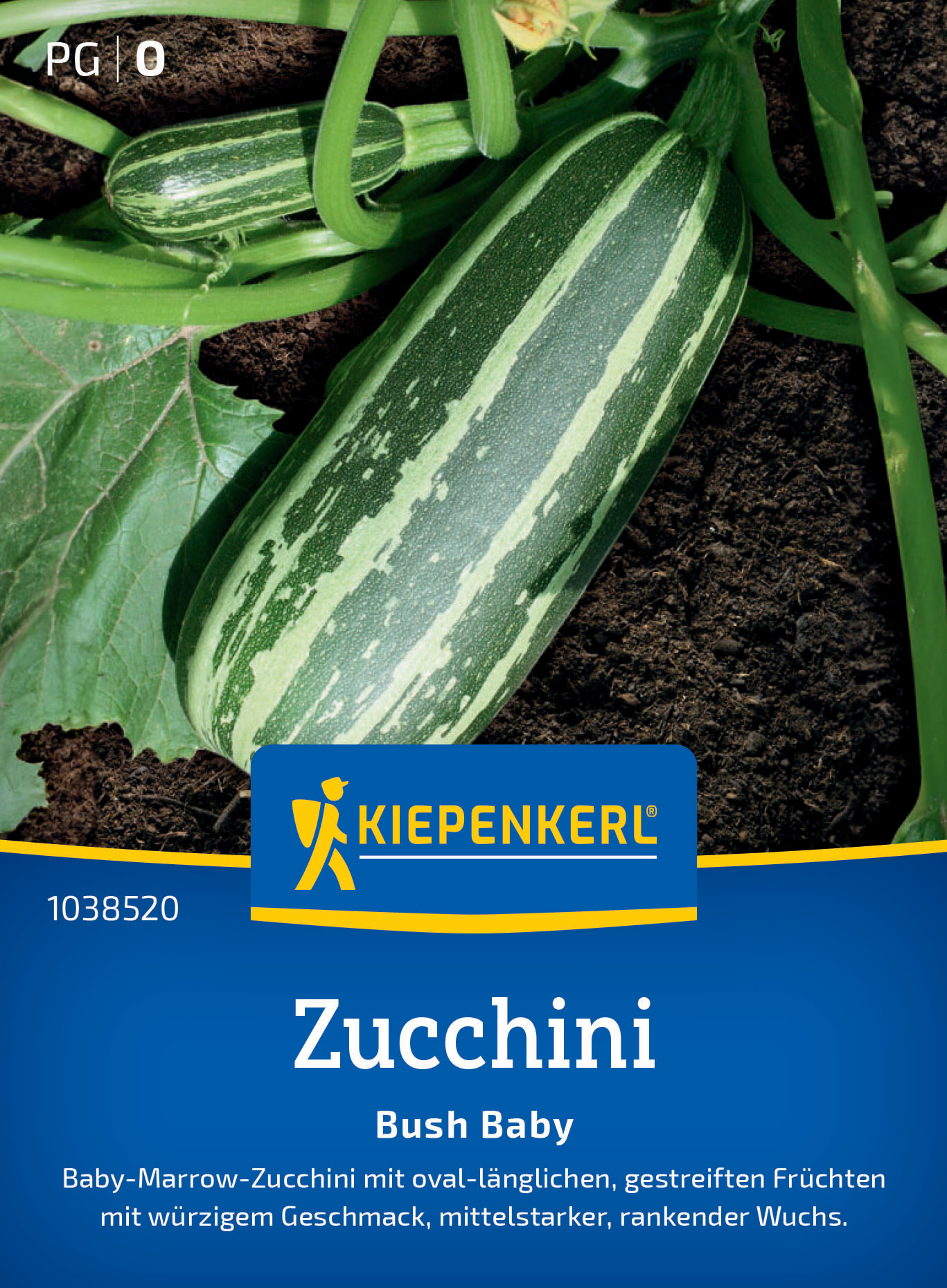 Zucchini Bush Baby, F1