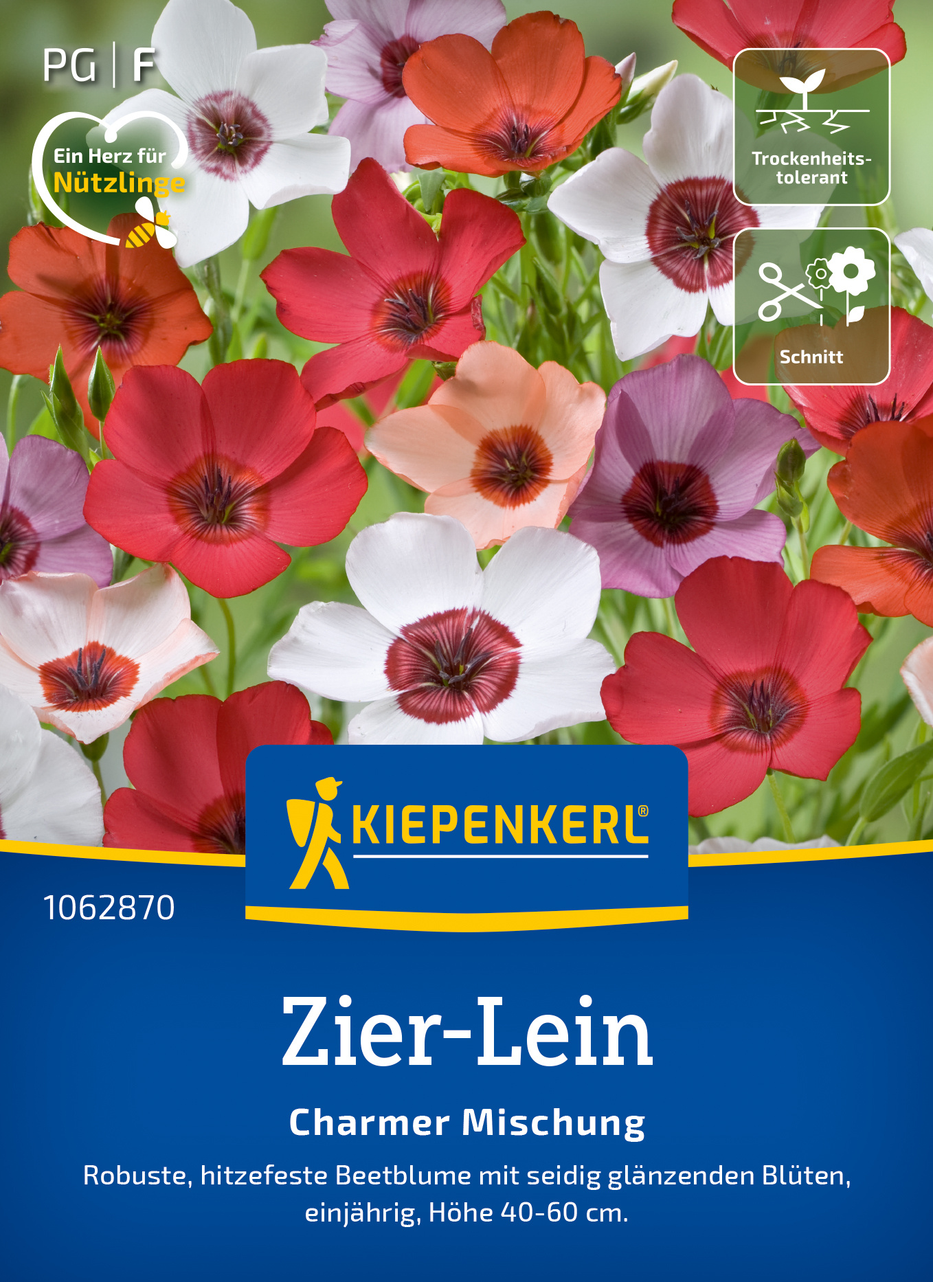 Zier-Lein Charmer Mischung