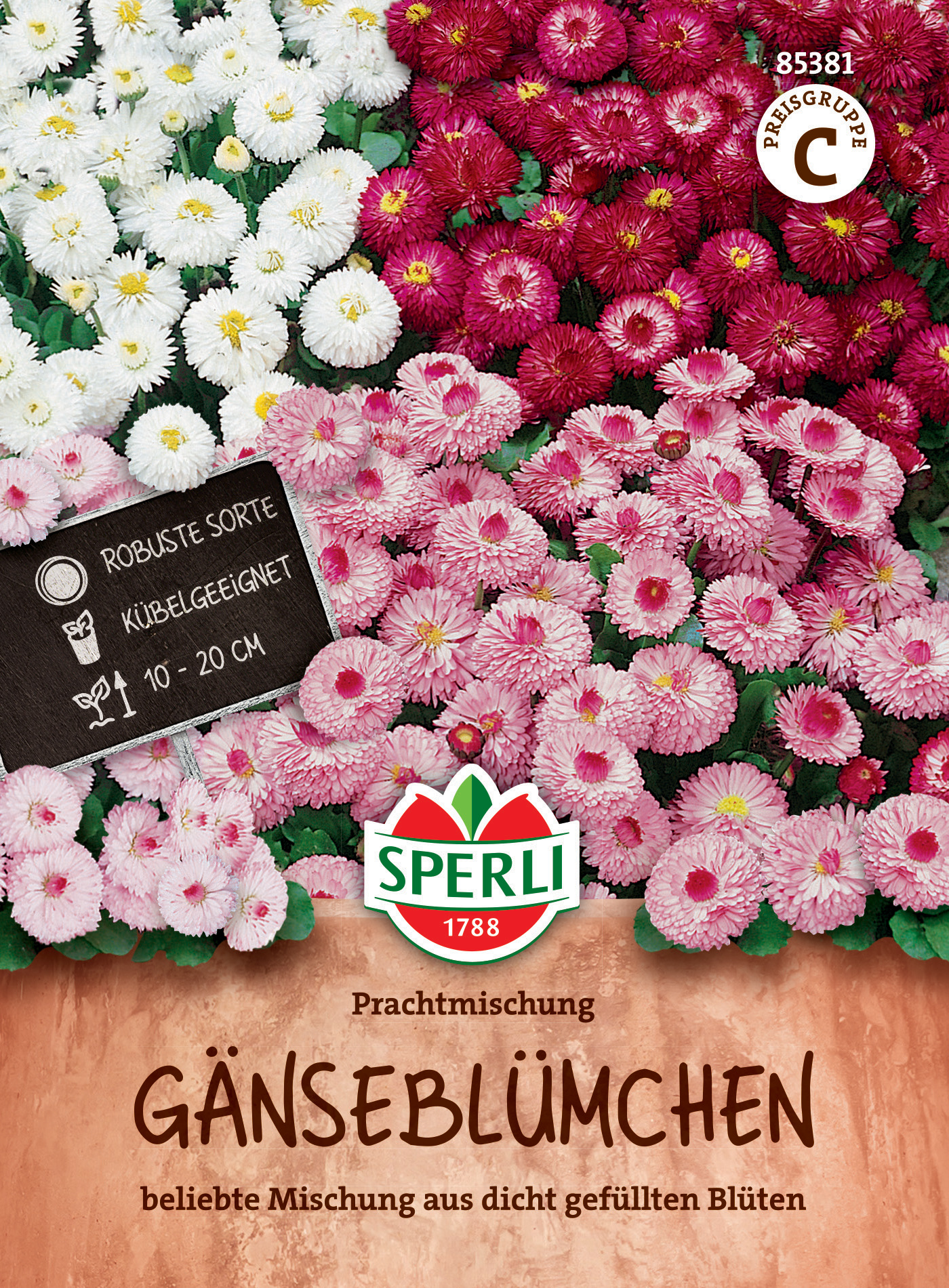 Gänseblümchen Prachtmischung Gänseblümchen Prachtmischung