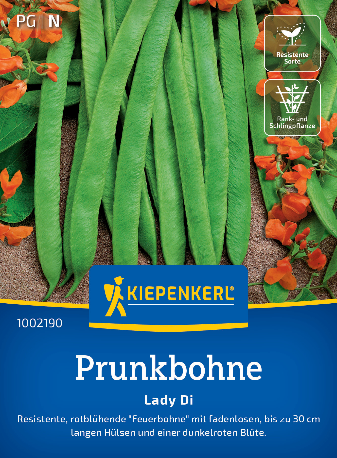 Prunkbohne Lady Di