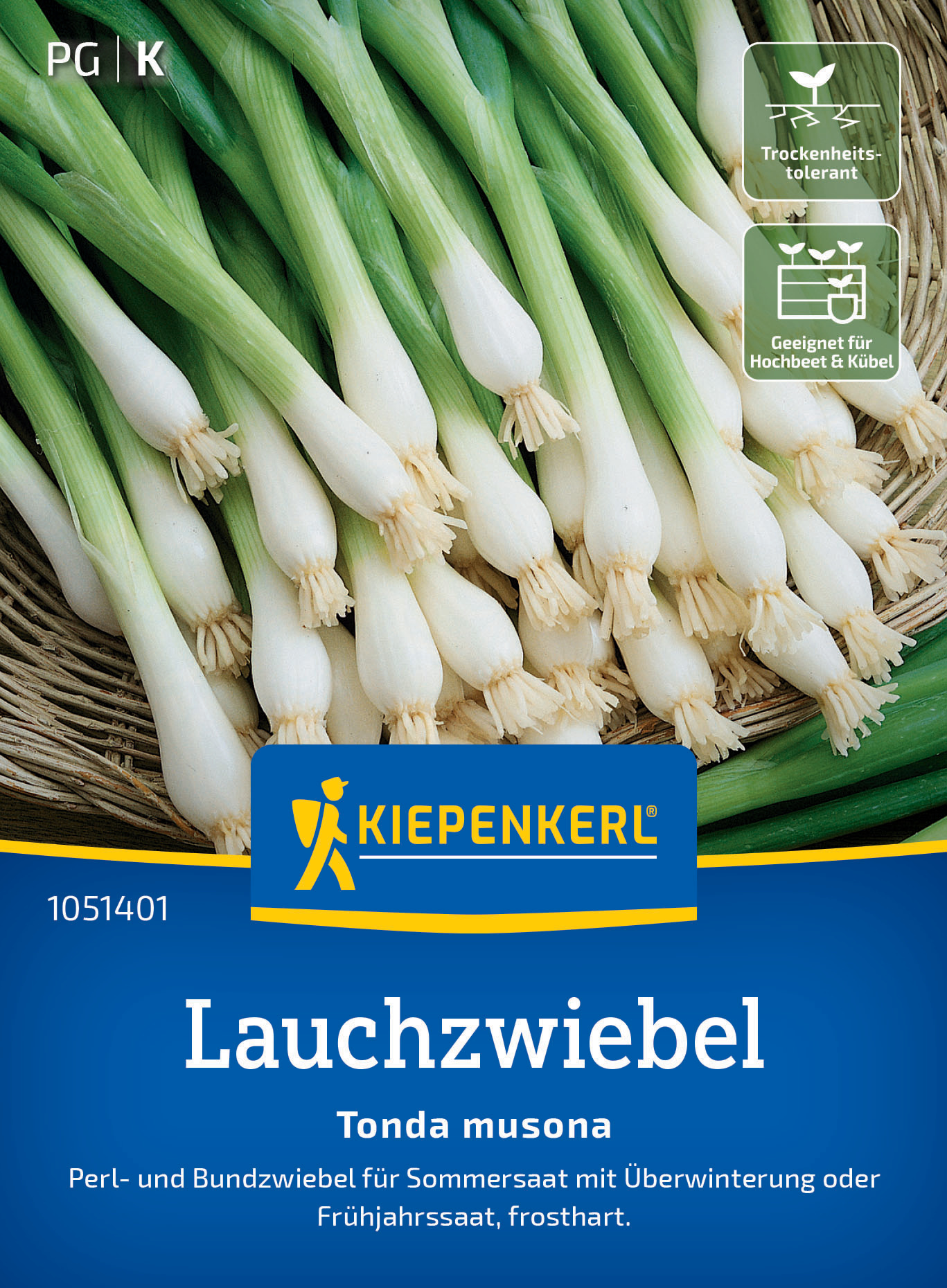 Lauchzwiebel Tonda Musona