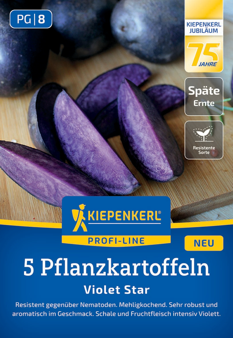 Pflanzkartoffel Violet Star, 5 St Pflanzkartoffel Violet Star, 5 St