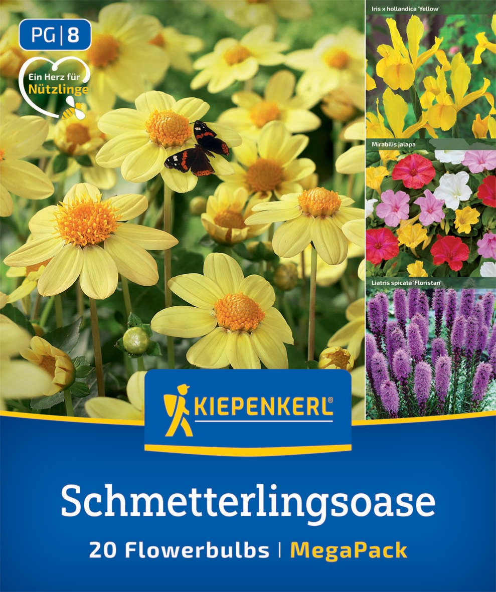 Schmetterlingsoase
