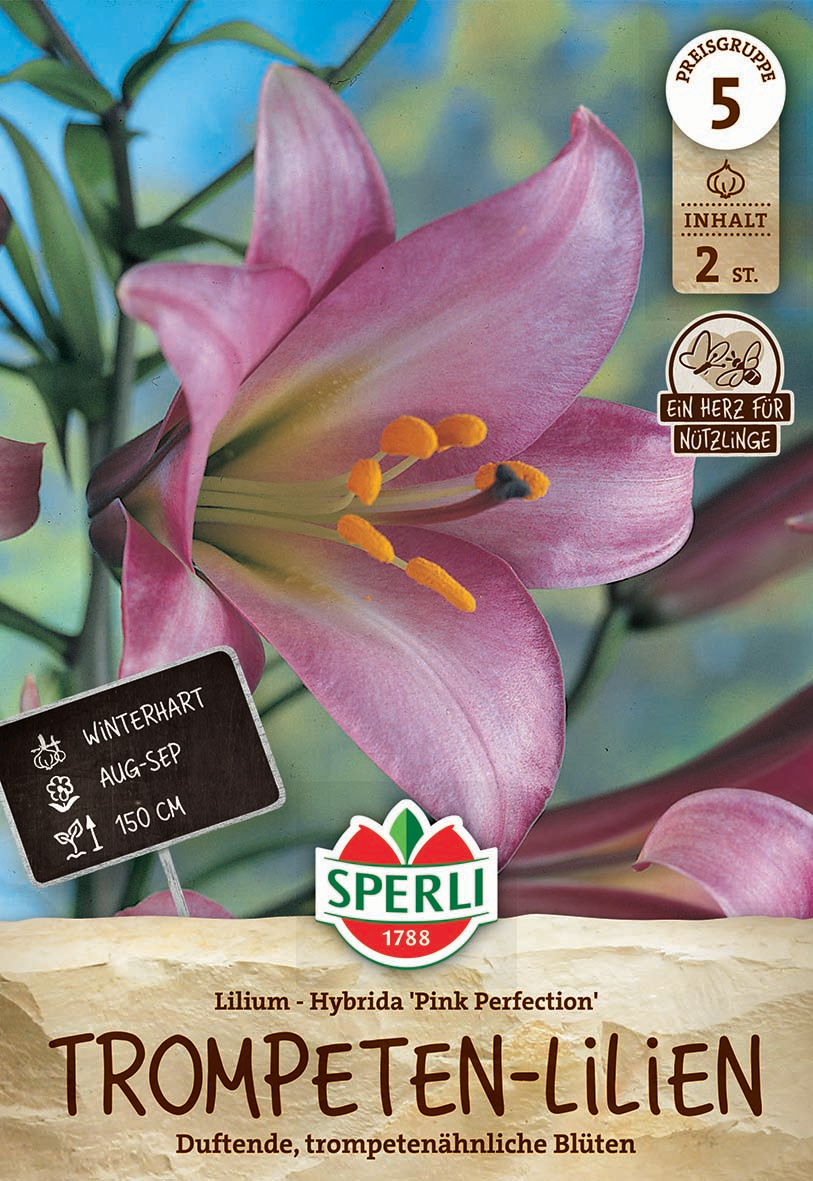 Lilie Pink Perfection