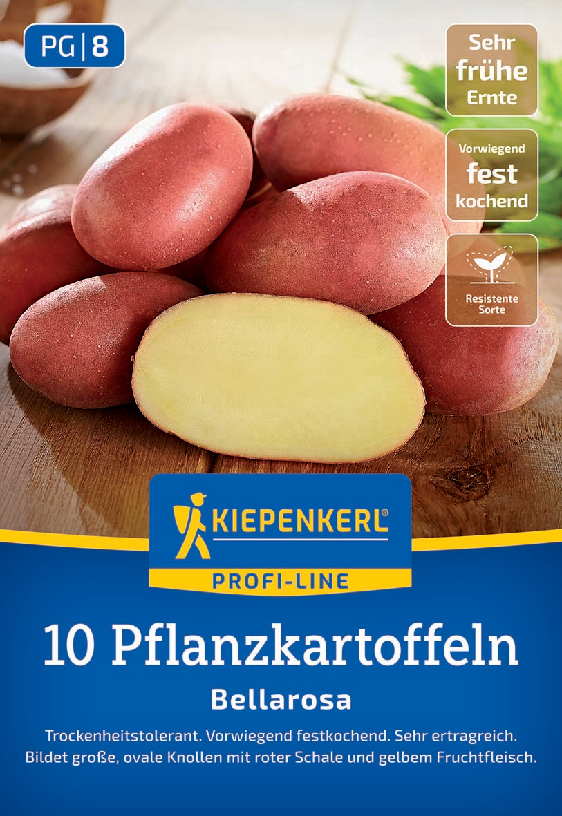 Pflanzkartoffel Bellarosa, 10 St Pflanzkartoffel Bellarosa, 10 St