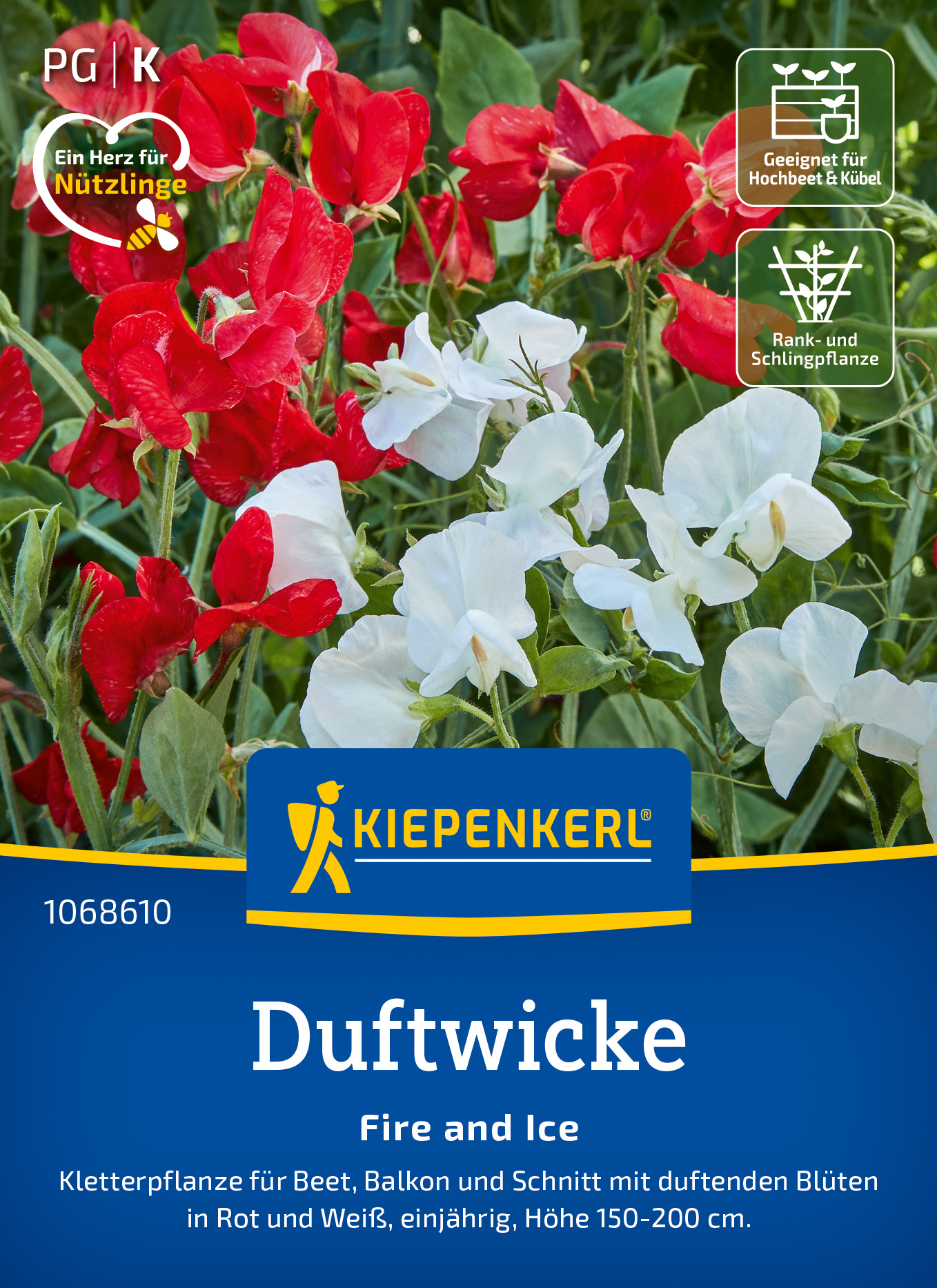 Duftwicke Fire and Ice