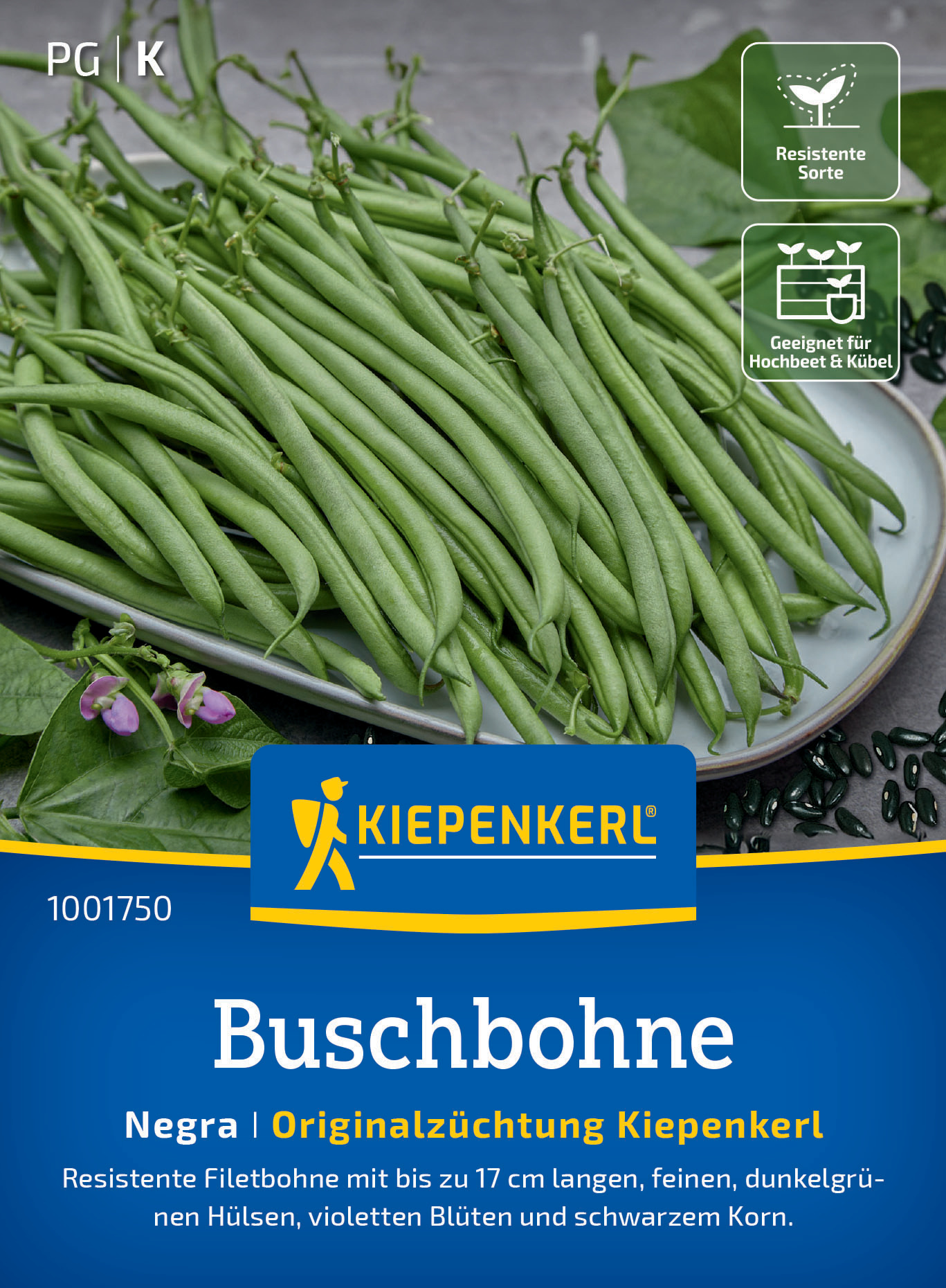 Buschbohne Negra