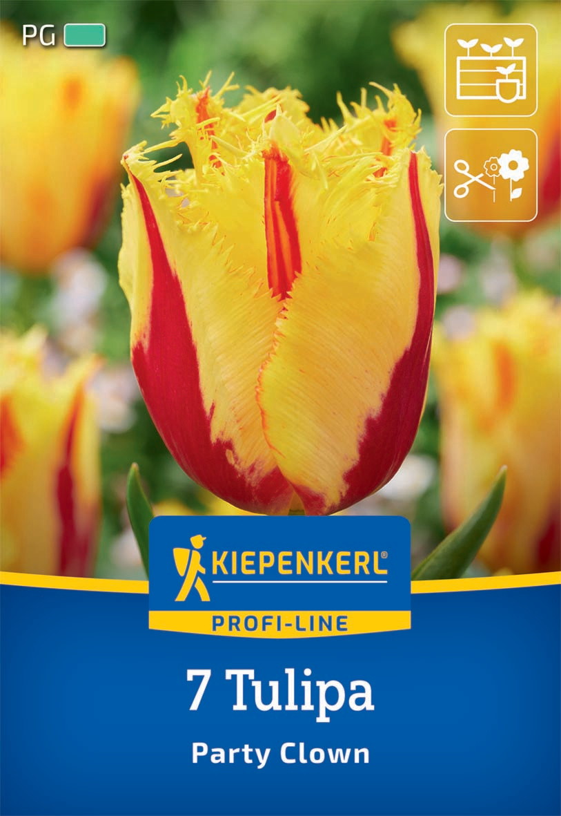 Profi-Line Gefranste Tulpe Party Clown Profi-Line Gefranste Tulpe Party Clown