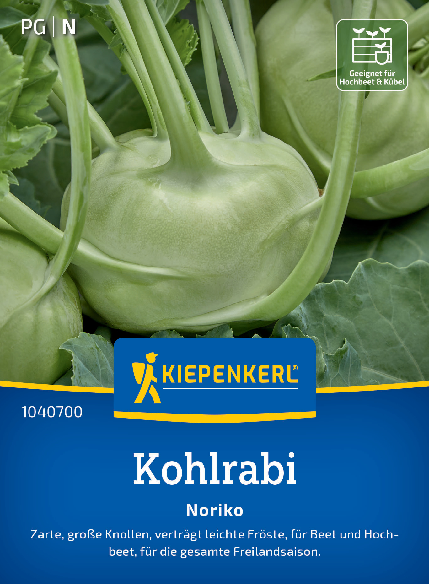 Kohlrabi Noriko Kohlrabi Noriko