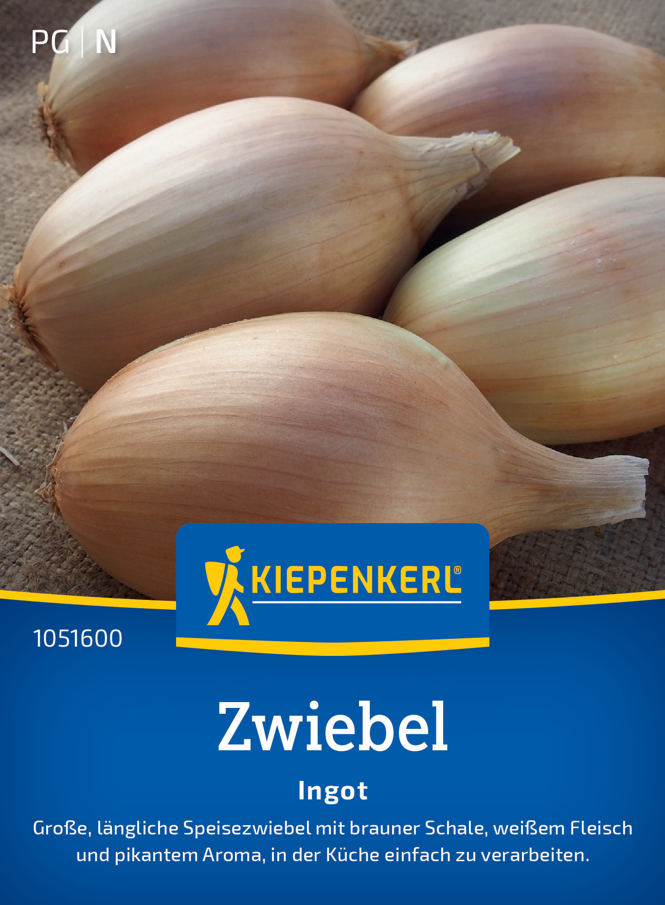 Zwiebel Ingot, F1