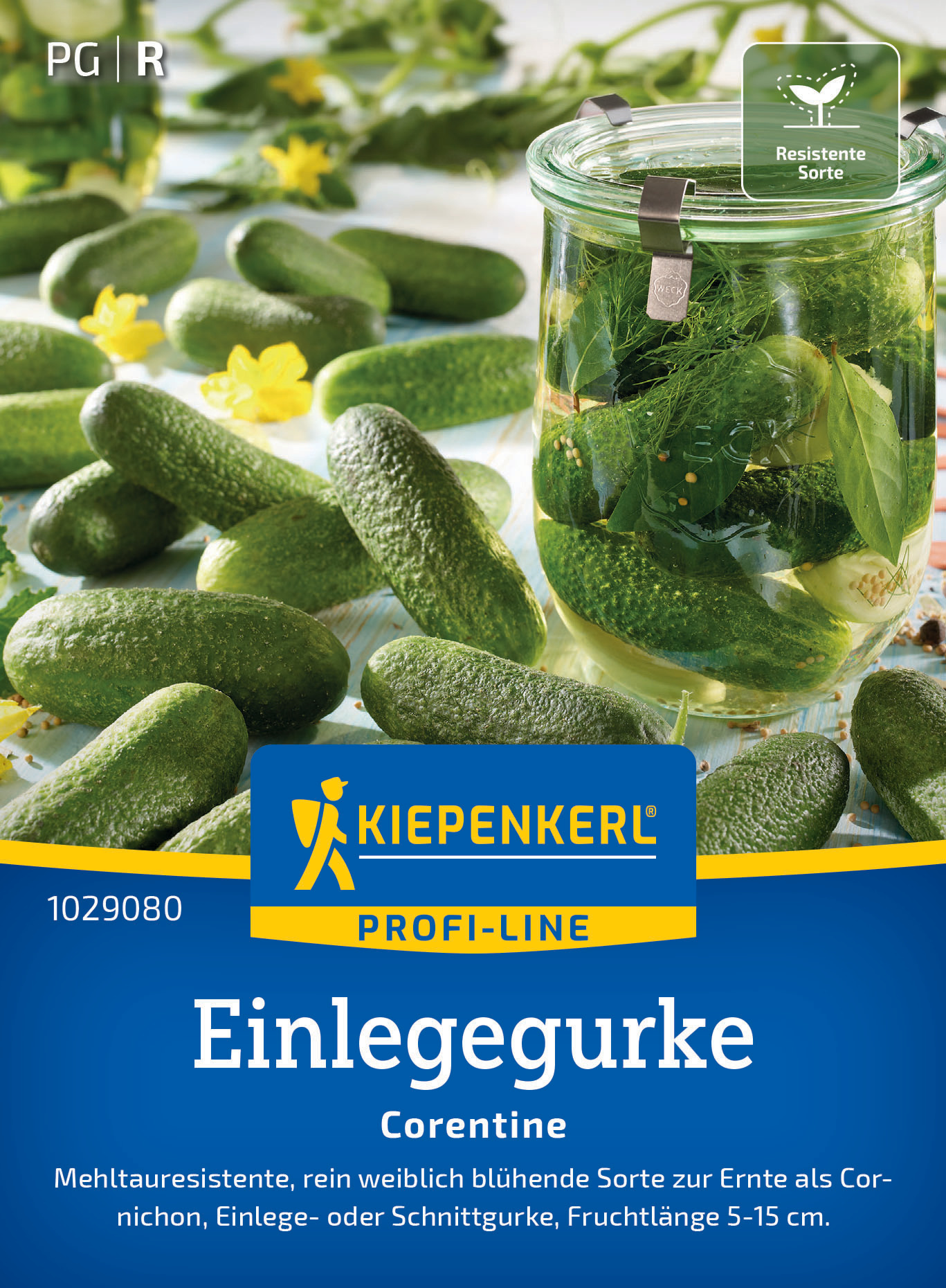 Einlegegurke Corentine, F1 Einlegegurke Corentine, F1