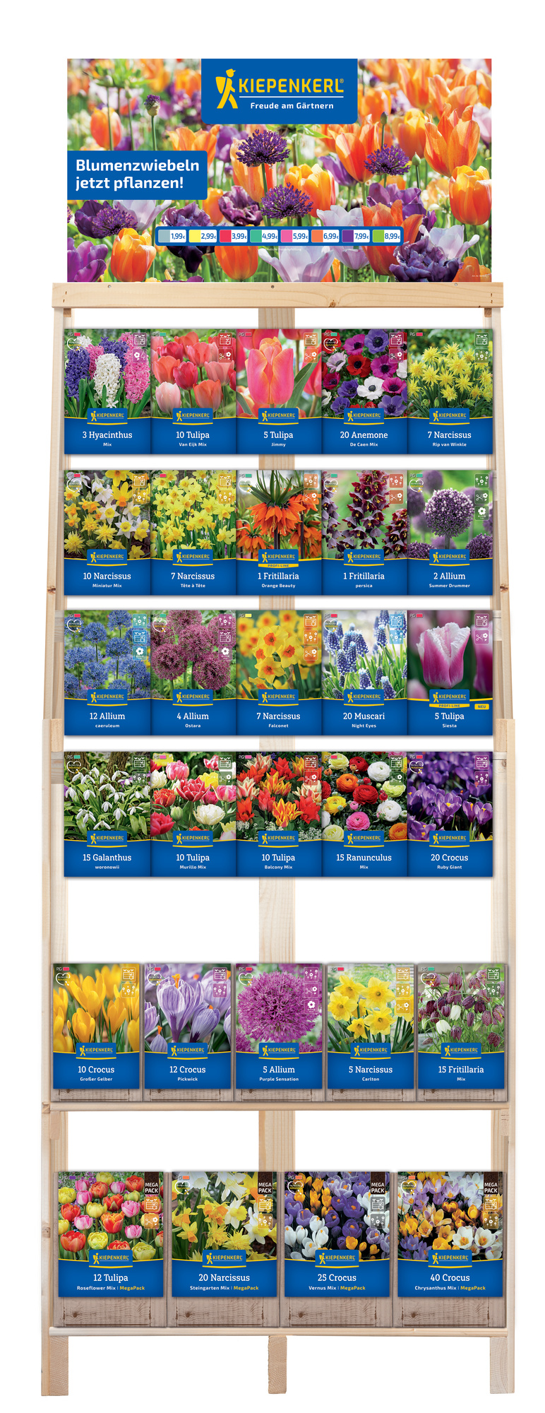 2025 - Herbst - Kiepenkerl-Blumenzwiebeln Topseller im Kombiregal
