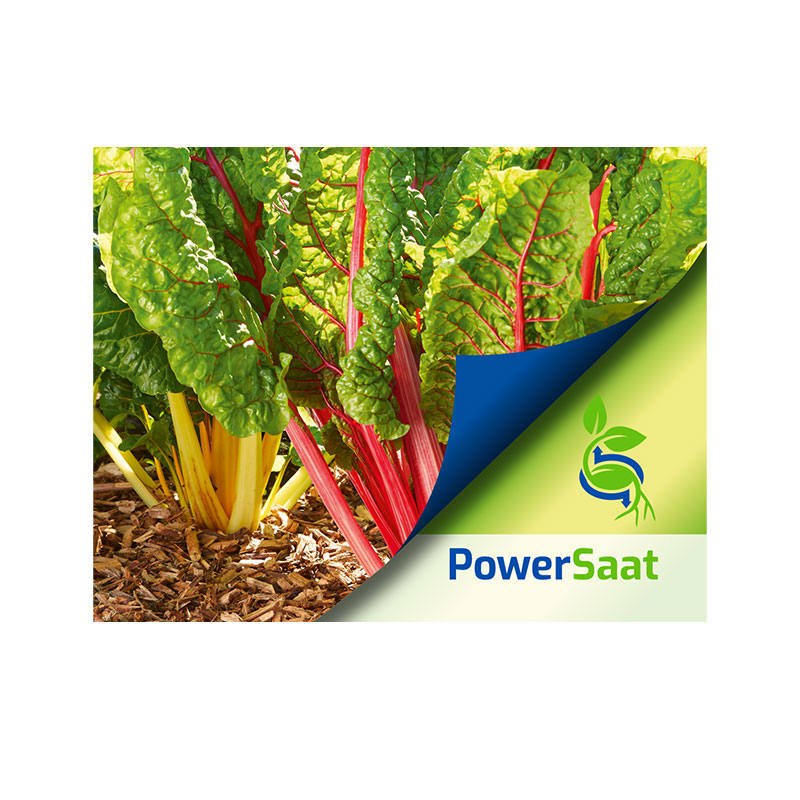 PowerSaat wurde gemeinsam  von  der Bruno Nebelung GmbH und SeedForward entwickelt Seit Anfang dieses Jahres ist mit PowerSaat eine neue Produktgruppe der Marke Kiepenkerl erhältlich